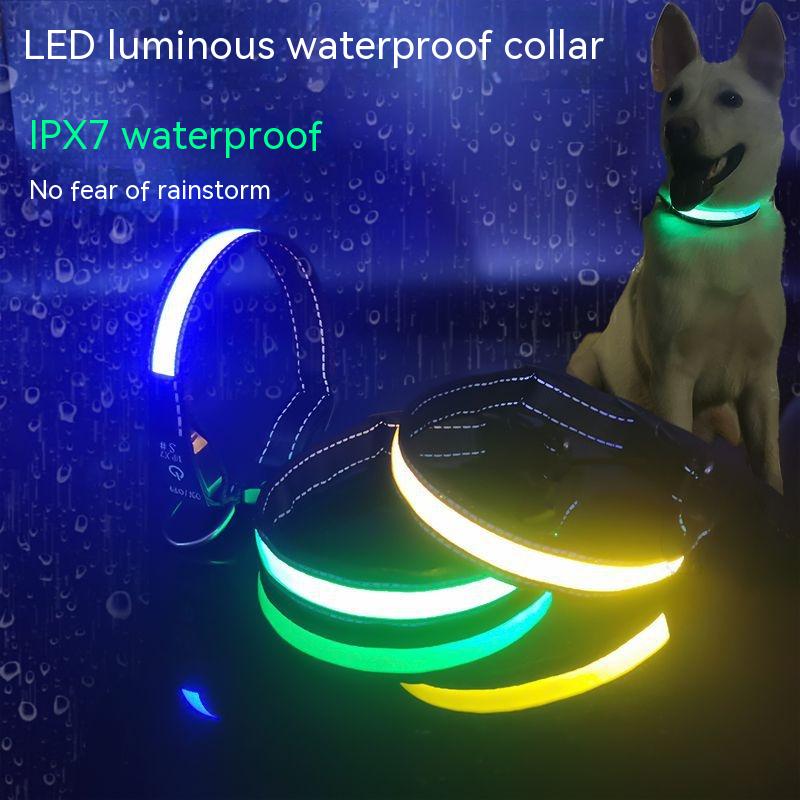 Luminous Dog Collar