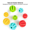 Rubber Balls Toys