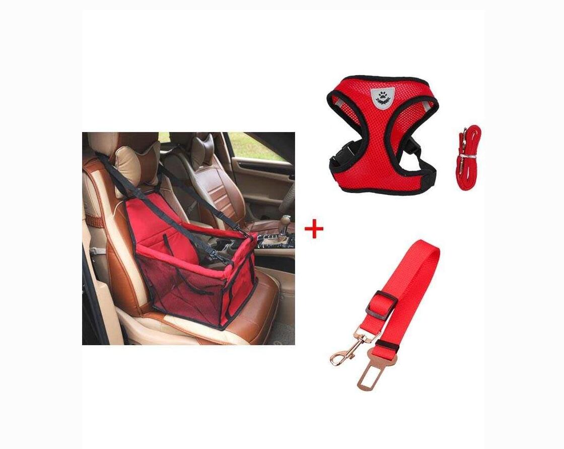 Safety Car Seat Carrier