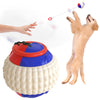 Dog Training Toy