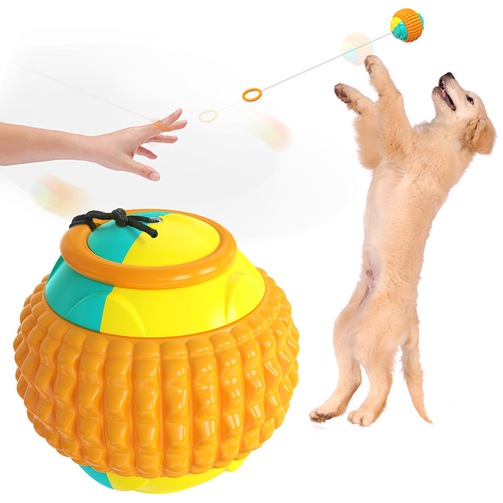 Dog Training Toy