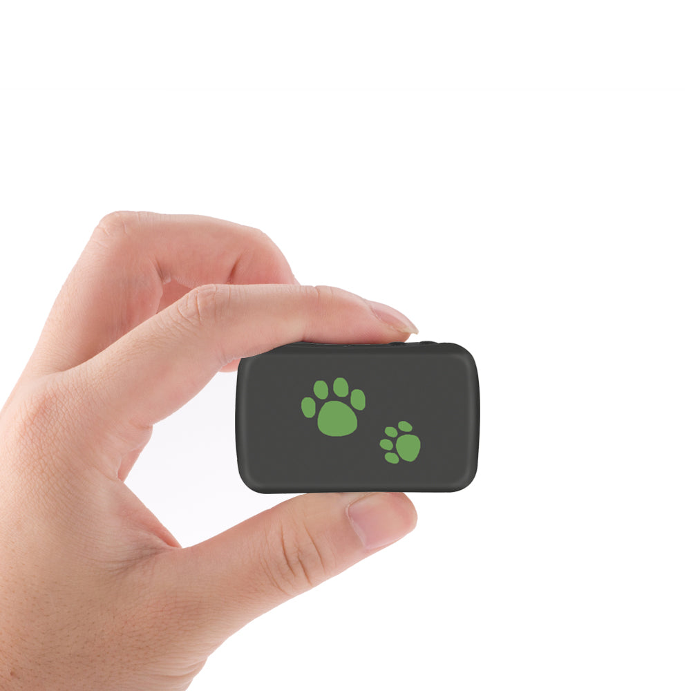 Pet Tracker