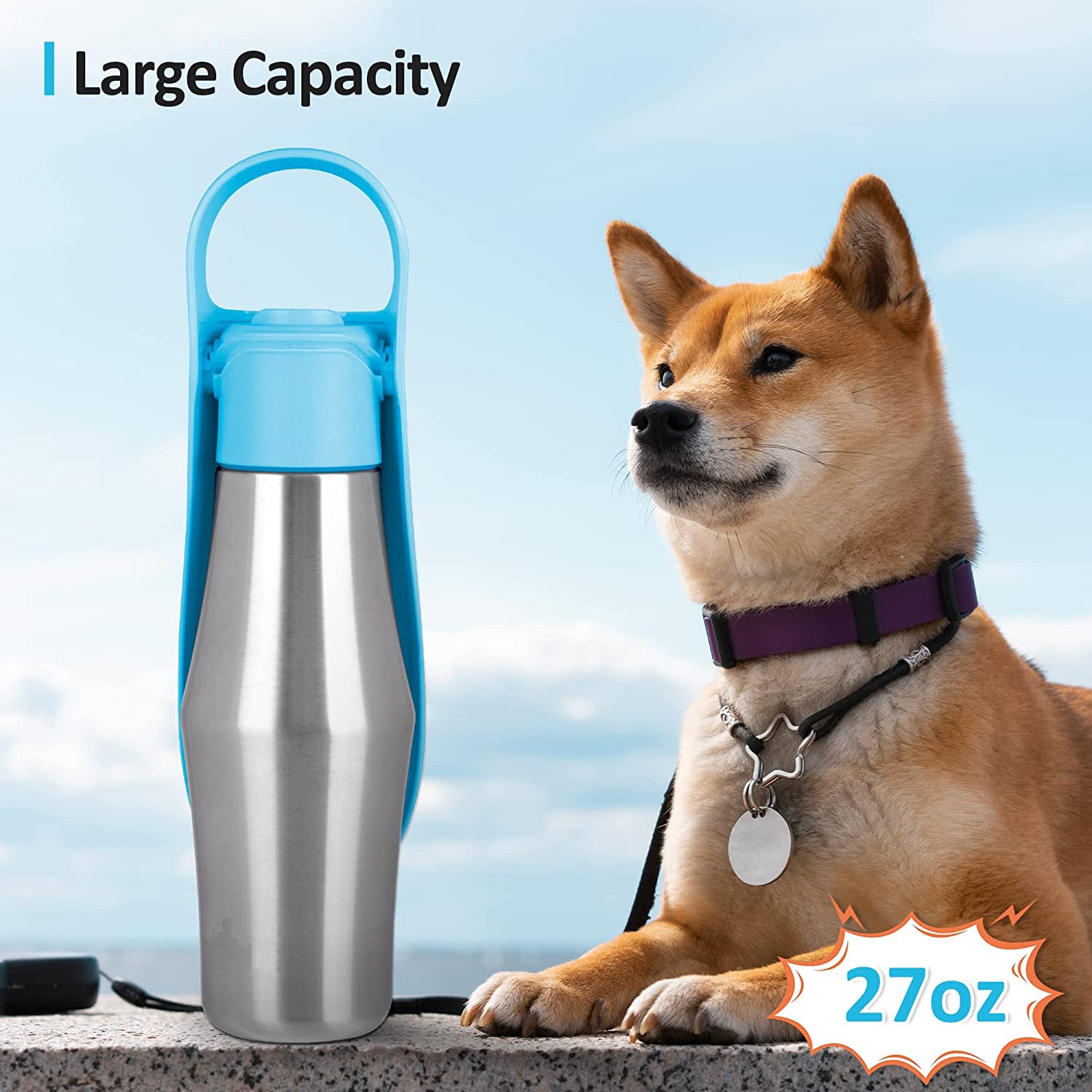 Pet Water Dispenser