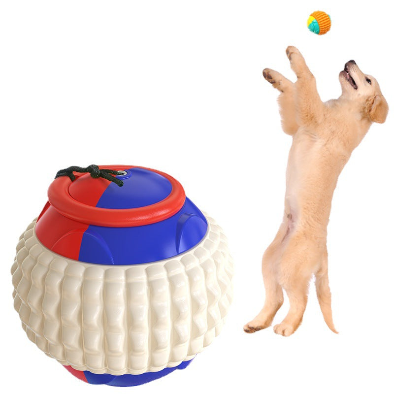 Dog Training Toy