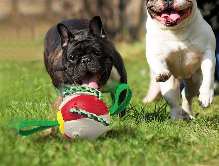 Flying Saucer Ball